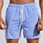 Men’s Sporty Vertical Stripe Swim Shorts