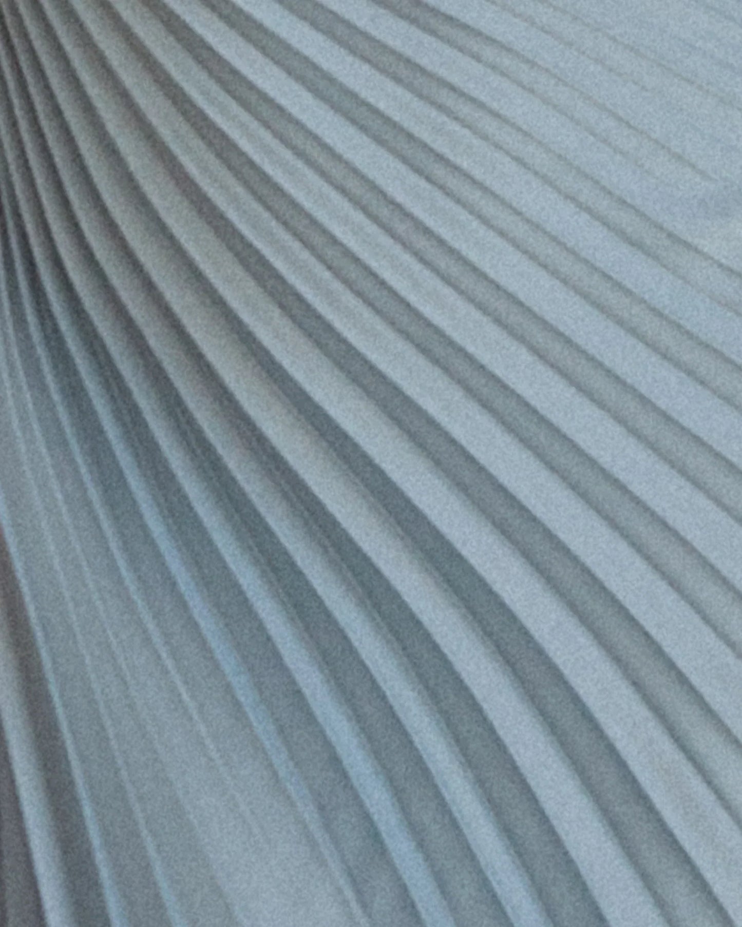 Delfina | One-Shoulder Pleated Evening Dress