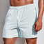 Men’s Sporty Vertical Stripe Swim Shorts